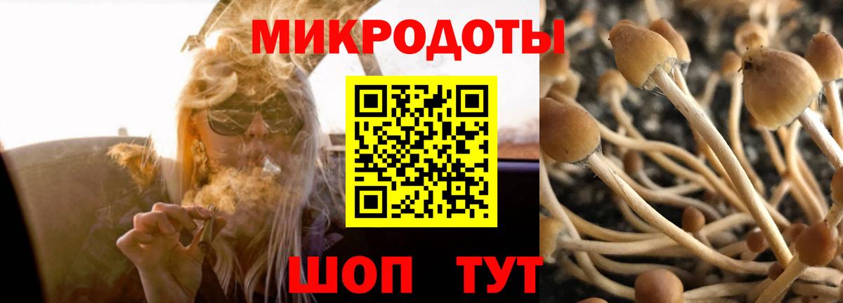 Галлюциногенные грибы Psilocybine cubensis  Вход с VPN  Беслан 